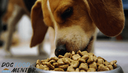 Purina Pro Plan Dry Dog Food, Savor, Shredded Blend Adult Chicken & Rice Formula Review