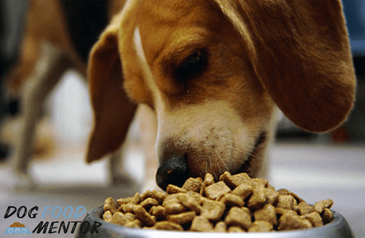 what is in purina pro plan dog food