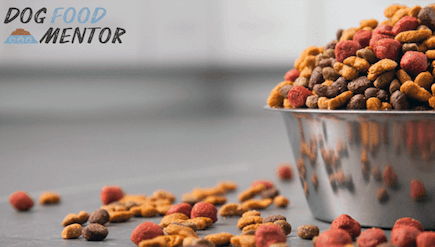 Taste Of The Wild Dry Dog Food Reviews