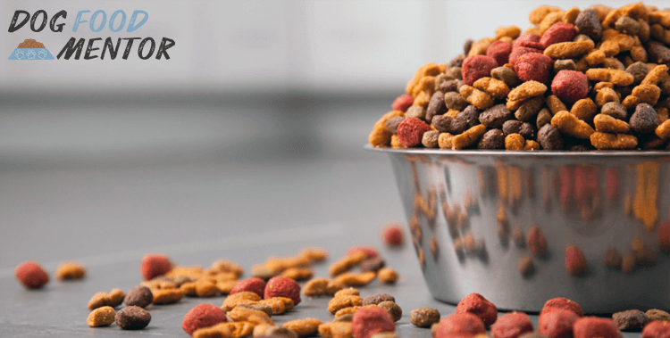 Taste Of The Wild Dry Dog Food Review